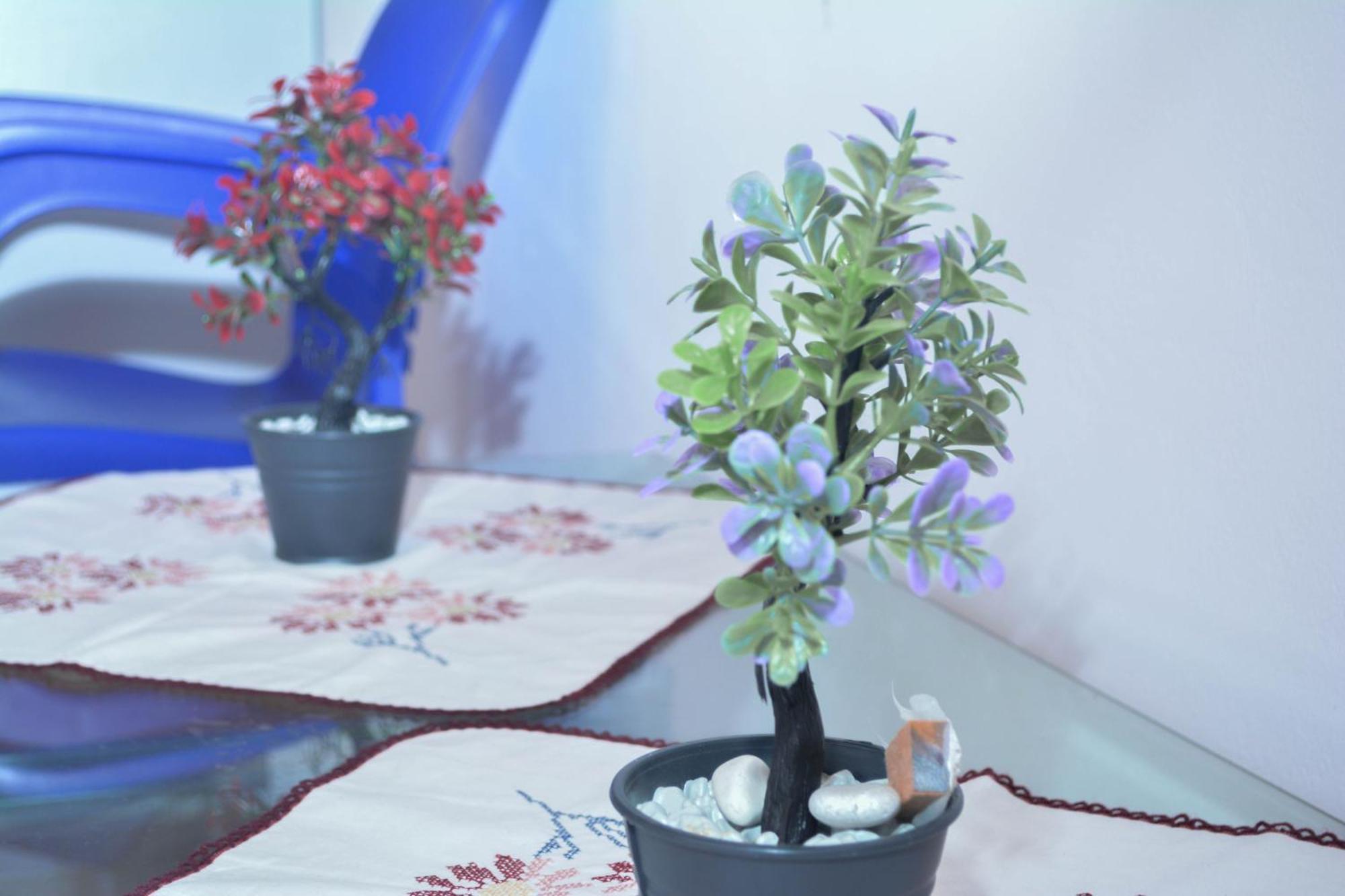 Apartments Villa Luti Stjar Ngoại thất bức ảnh